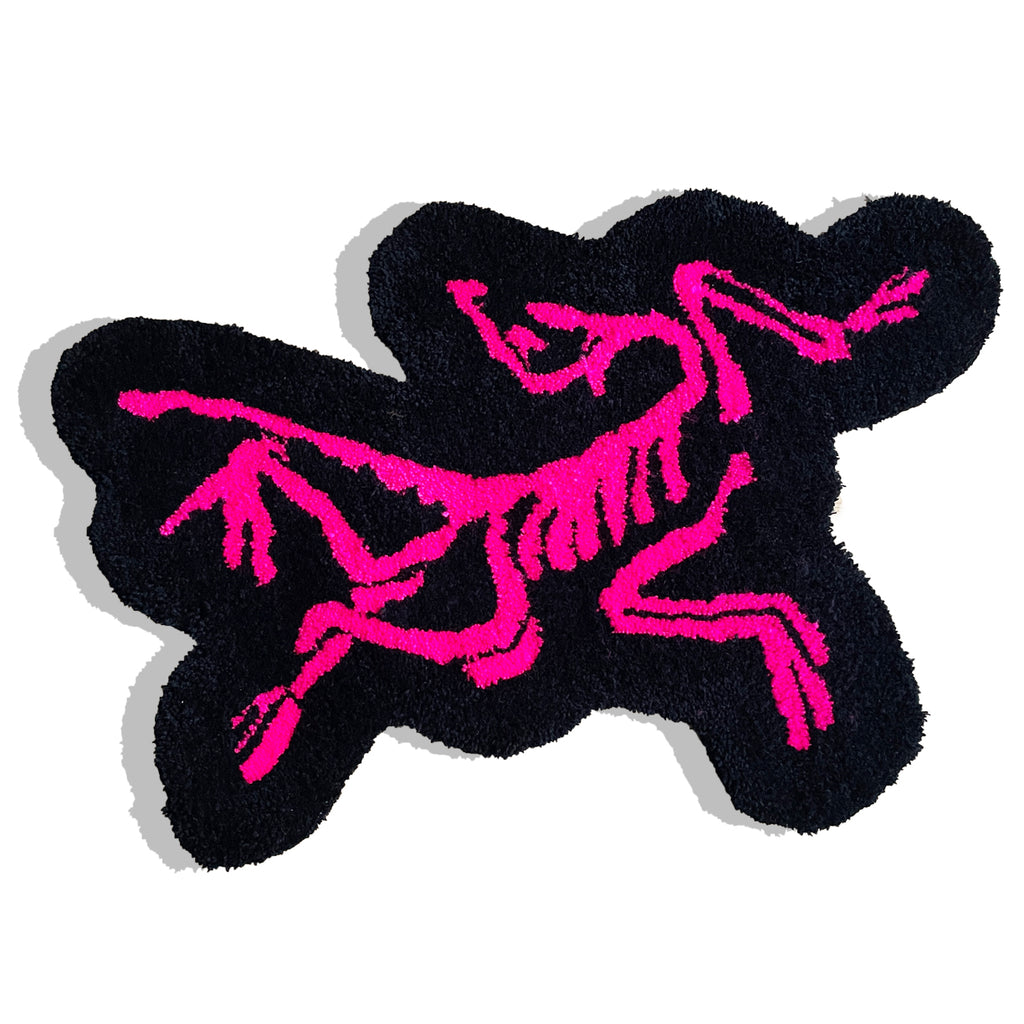 ARC'TERYX RUG