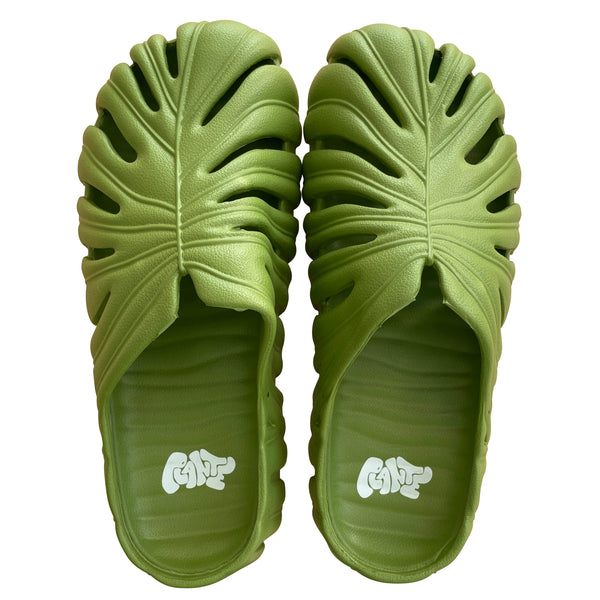 MULES PLANTES GREEN COLOR